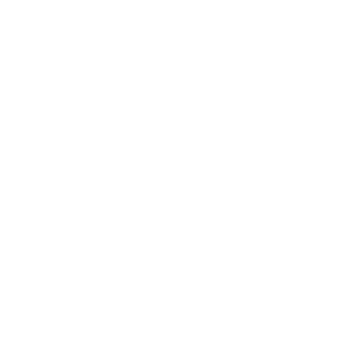 ASVEL Lyon Villeurbanne